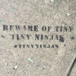 Meet your Posher, Murray